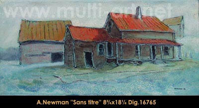 Houses and barns (Island Brook)