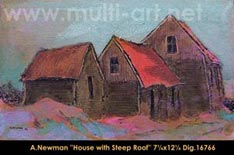House with steep roof
