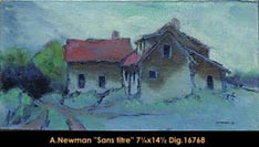 Two houses (Soamesville)