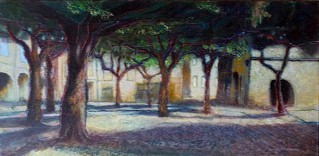 Plane trees, Place aux Herbes (Uzès) 1