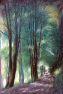 Trees along a lane (Bollene)
